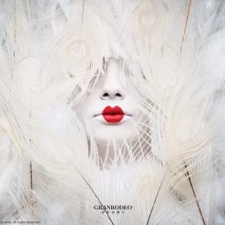 BANDAI VISUAL Shounennohate Mobile Suit Gundam Iron-Blooded Orphans Standard Edition CD (Import)