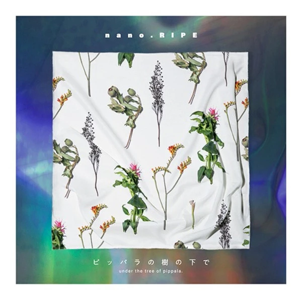 BANDAI VISUAL Pippara No Ki No Shita De Standard Edition CD (Import) 3 BANDAI VISUAL Pippara No Ki No Shita De Standard Edition CD (Import)