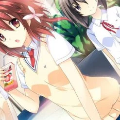 MOE NOVEL If My Heart Had Wings DVD-ROM Game (Windows) -Audio Puzzle Sales Shop 799632602651 game if my heart had wings altD