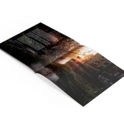 MUSIC ON VINYL The Last Of Us Limited Edition Vinyl Soundtrack 11 MUSIC ON VINYL The Last Of Us Limited Edition Vinyl Soundtrack -Audio Puzzle Sales Shop 8719262018907 vinyl the last of us limited edition soundtrack altc