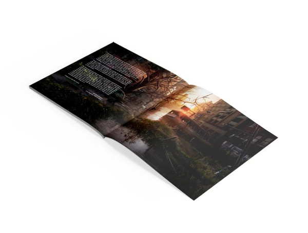 MUSIC ON VINYL The Last Of Us Limited Edition Vinyl Soundtrack 6 MUSIC ON VINYL The Last Of Us Limited Edition Vinyl Soundtrack - Image 4